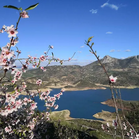 Mountain Paradise Homestay